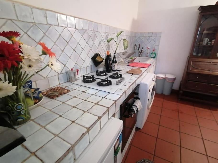 La Tua Casa A Trastevere Rom Eksteriør billede